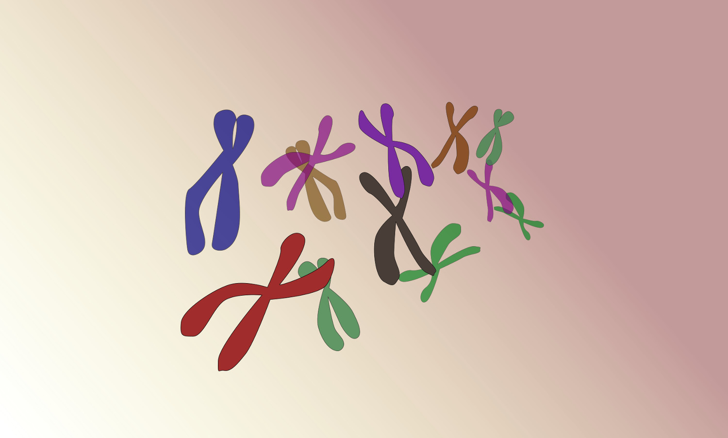 Estudio de variabilidad genética en el cromosoma X