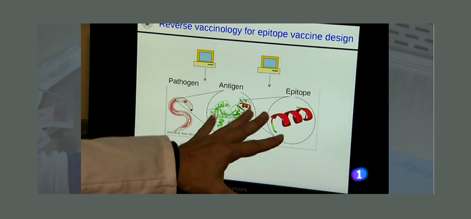 Investigadores de la Facultad de Medicina formulan vacuna contra cualquier cepa de virus